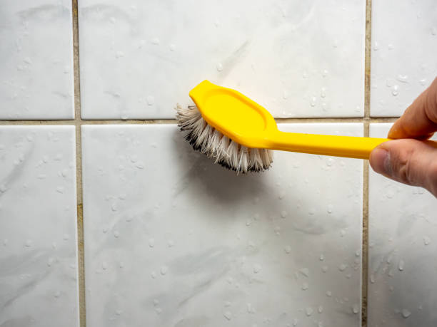 Best Mold Removal Near Me  in Basehor, KS