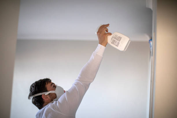 Best Attic Mold Removal  in Basehor, KS