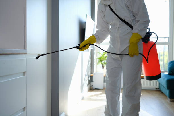 Best Emergency Mold Removal  in Basehor, KS