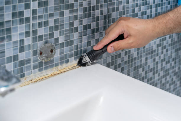 Best Home Mold Removal  in Basehor, KS